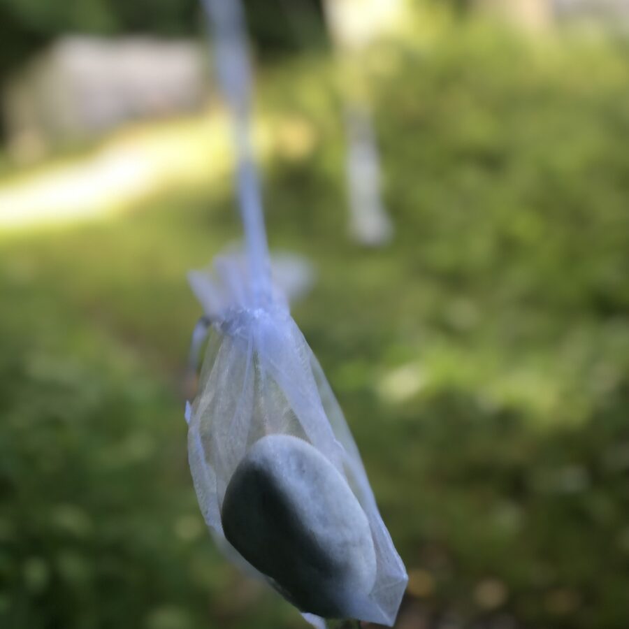 2023-07-01 11.06.22